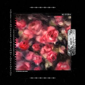 【Free】'我对你的爱没有上限' Melody arfo beat