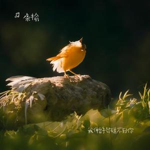 我伸出手却碰不到你