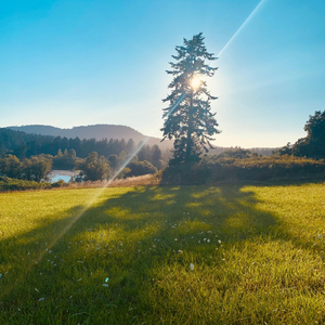 What's in Your Heart