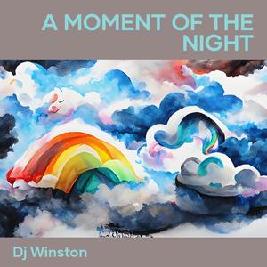 A Moment of the Night