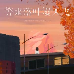 等来落叶漫天飞