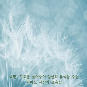나무늘보의 자장가