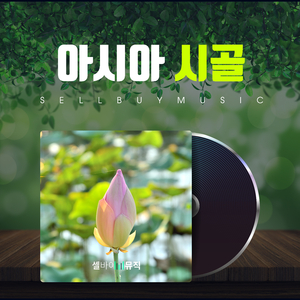 비트위에전우치