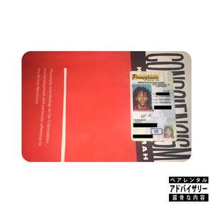 **** the Nordic Model