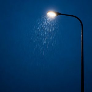 忘情夜雨天