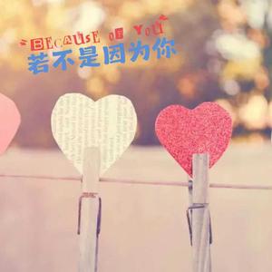 若不是因为你（DJ乔大拿版）