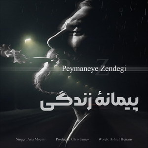 Peymaneye Zendegi