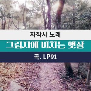 그림자에 비친 햇살