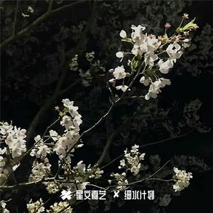 太空专曲Queen bee