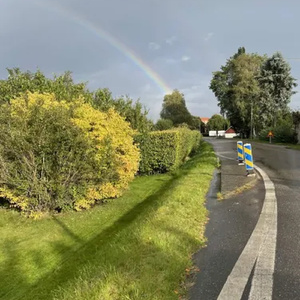 No Grudges (2026 Remastered Version)