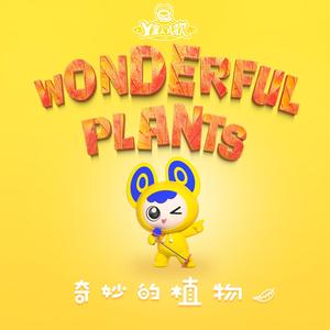 沙漠中的仙人掌