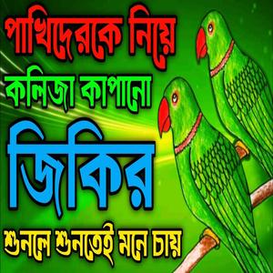 পাখিদেরকে নিয়ে কলিজা কাঁপানো জিকির ll New jikir #best #jikir #beautiful #jikir #chamatkar #jikir..