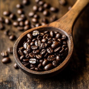 Echoes in the Groove