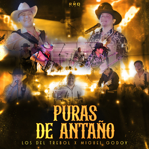Parcelas de Mendoza