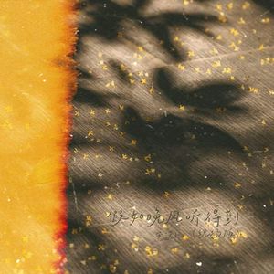 假如晚风听得到（现场版）