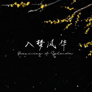 入梦风华