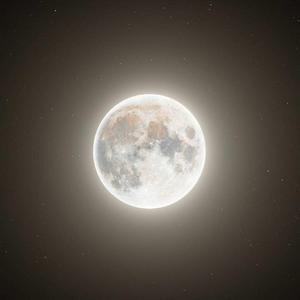 【FREE】'月亮男孩' trap type beat