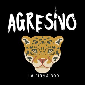 Agresivo