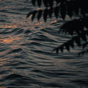 往昔之河（安宁放松催眠助梦）