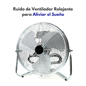 Velocidad Del Látigo