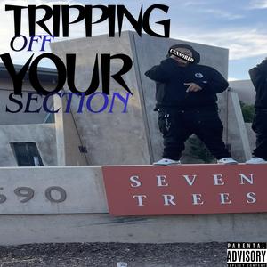 Tripping Off Your Section