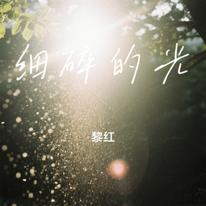 细碎的光
