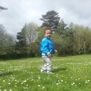 Vida (não paro não)