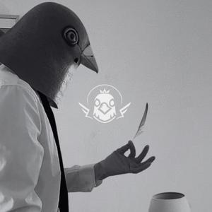 In the Name of the Feather