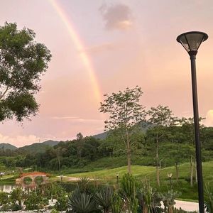 总比好过没有感情