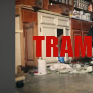 Tramatized (feat. Tr3ylocc)