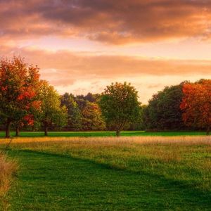 夜空中最亮的星
