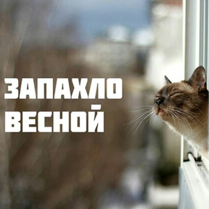 Спасибо родителям