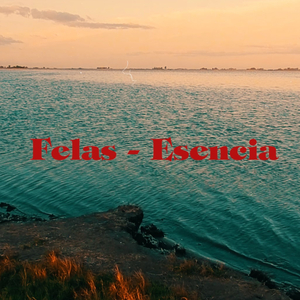 Esencia
