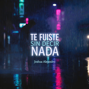 Te Fuiste Sin Decir Nada