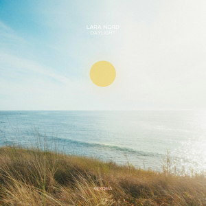 Daylight (Extended Mix)