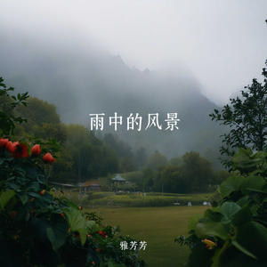 雨中的风景