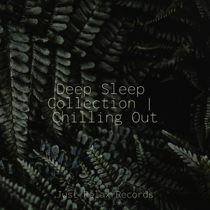 Unraveled Memory Trail