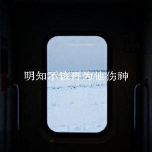 明知不该再为他神伤