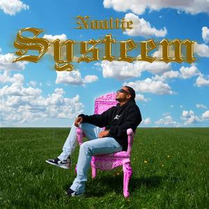 Systeem
