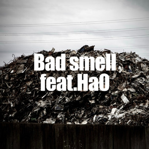 Bad smell (feat. Ha0)