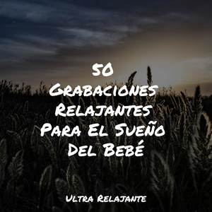 Anochecer En La Distancia