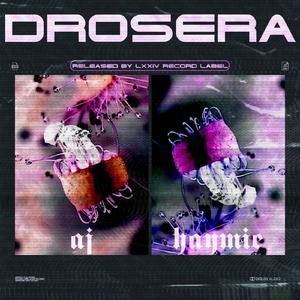 Drosera (Original Mix)