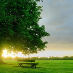 千与千寻 (扬琴版)(Live)