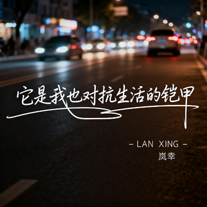 它是我也对抗生活的铠甲（伤感版）