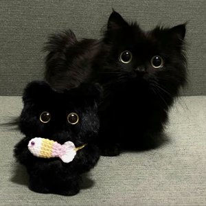 Romance(prod by Lyoung)