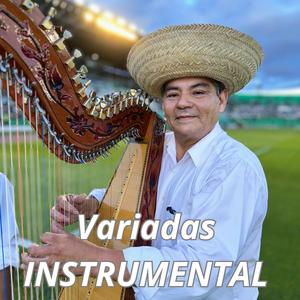 Yasesapokera Chovena Guaraya (Versión Instrumental)