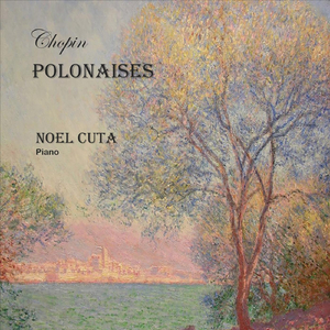 Polonaise in G Minor, Kk. Iia, No. 1