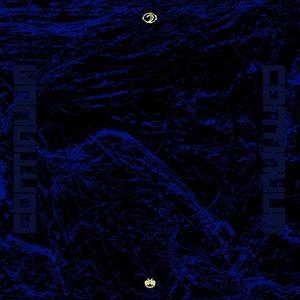 Electronic Sacrament