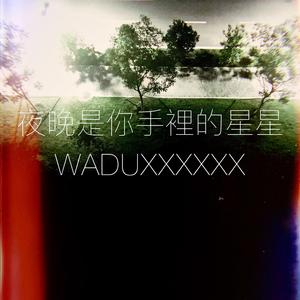 夜晚是你手里的星星