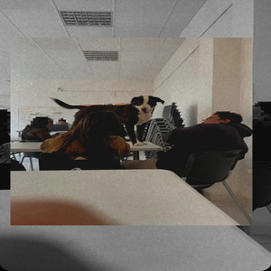 DOCENT3